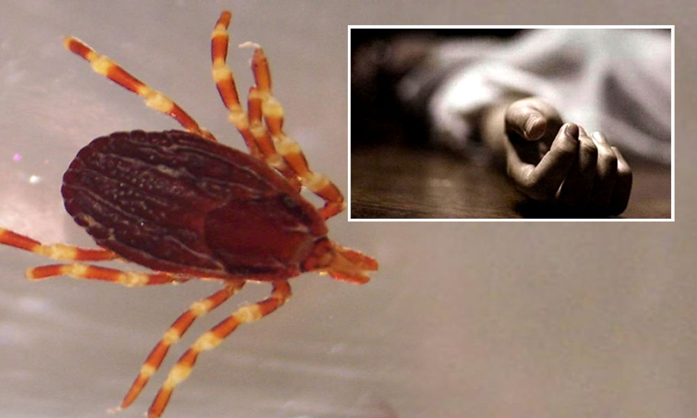 Don’t Die of Congo Fever! Get Vaccination Now