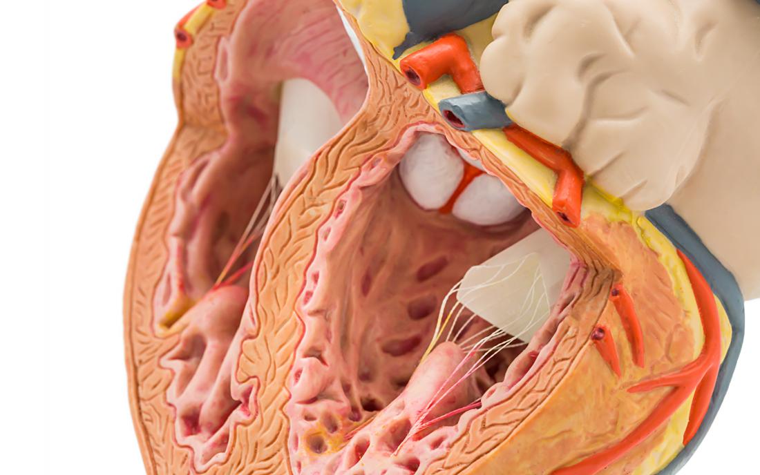 Heart problems and coronary heart illness: What’s the excellence?
