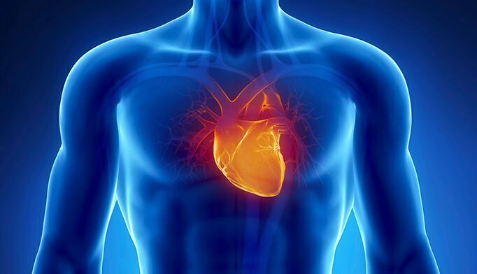 Coronary heart dietary supplements: Greatest dietary dietary supplements for the coronary coronary heart to steer clear of coronary heart illness